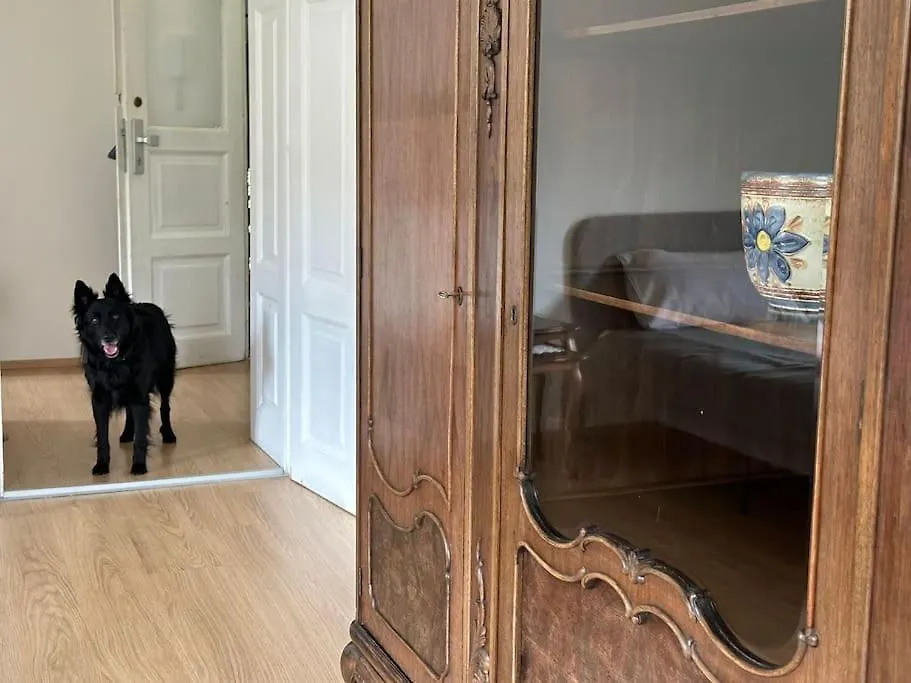 The Classy Sassy Ljubljana Apartment